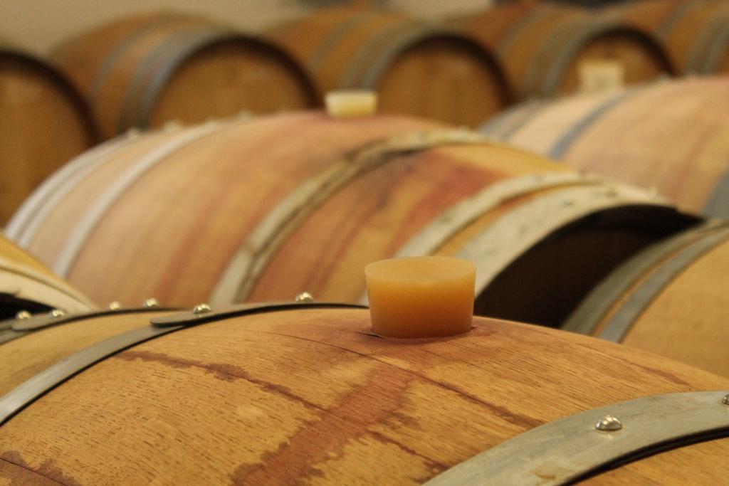 Domaine Maison Dodo Lamonzie-Saint-Martin Rom bilde